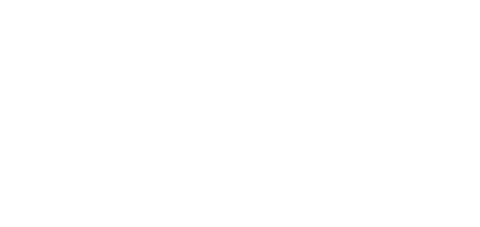 logotipo santini.global branco